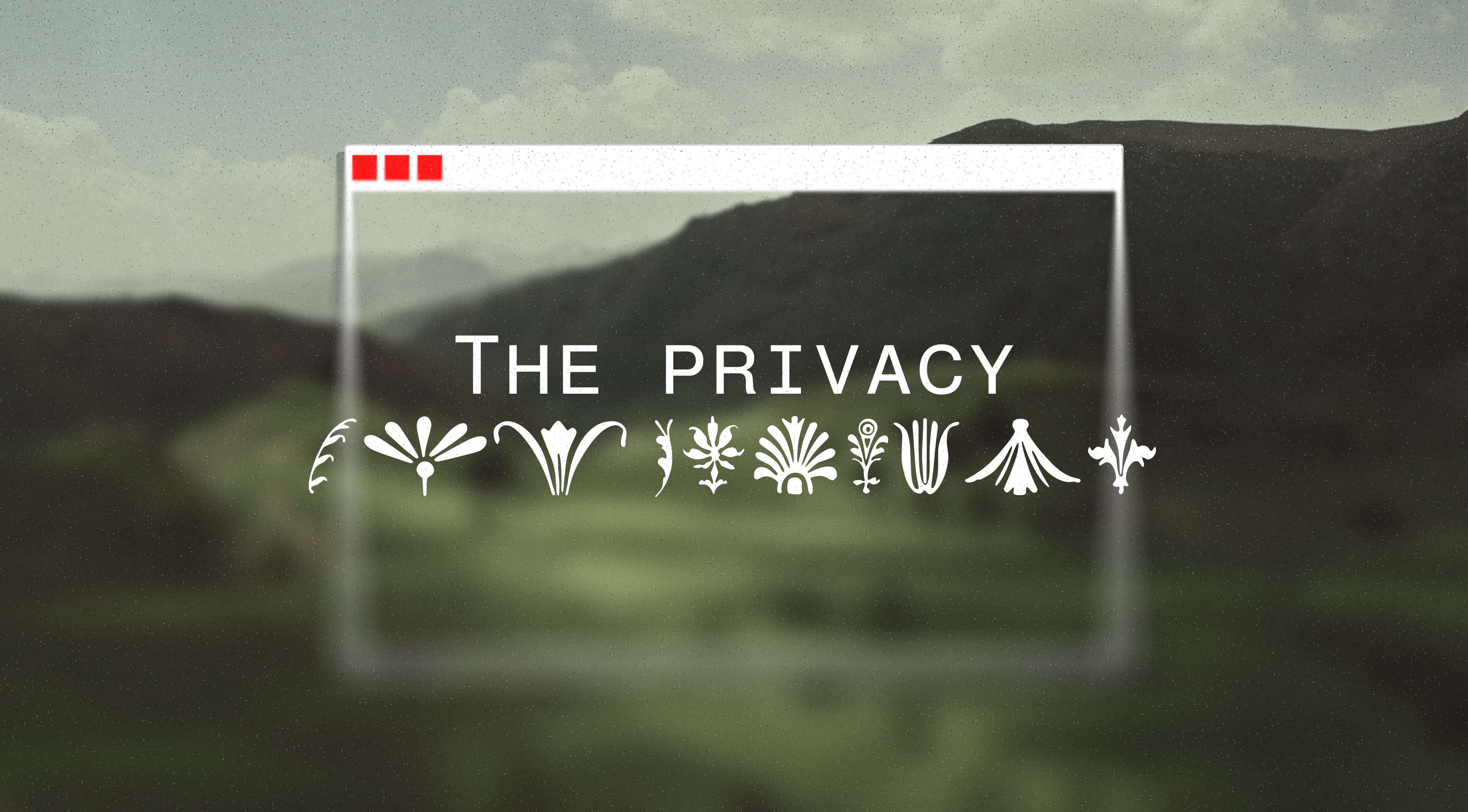 Aperçu Privacy
