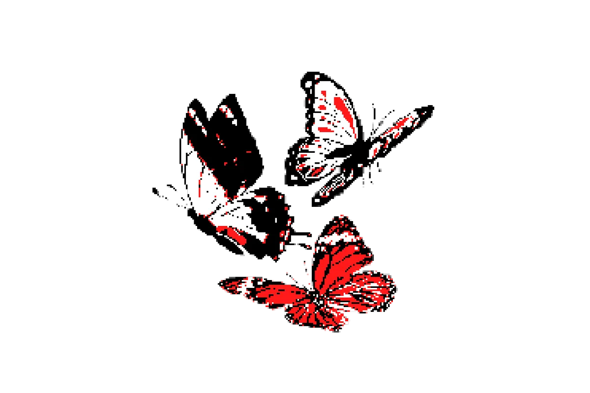 Maestro butterflies